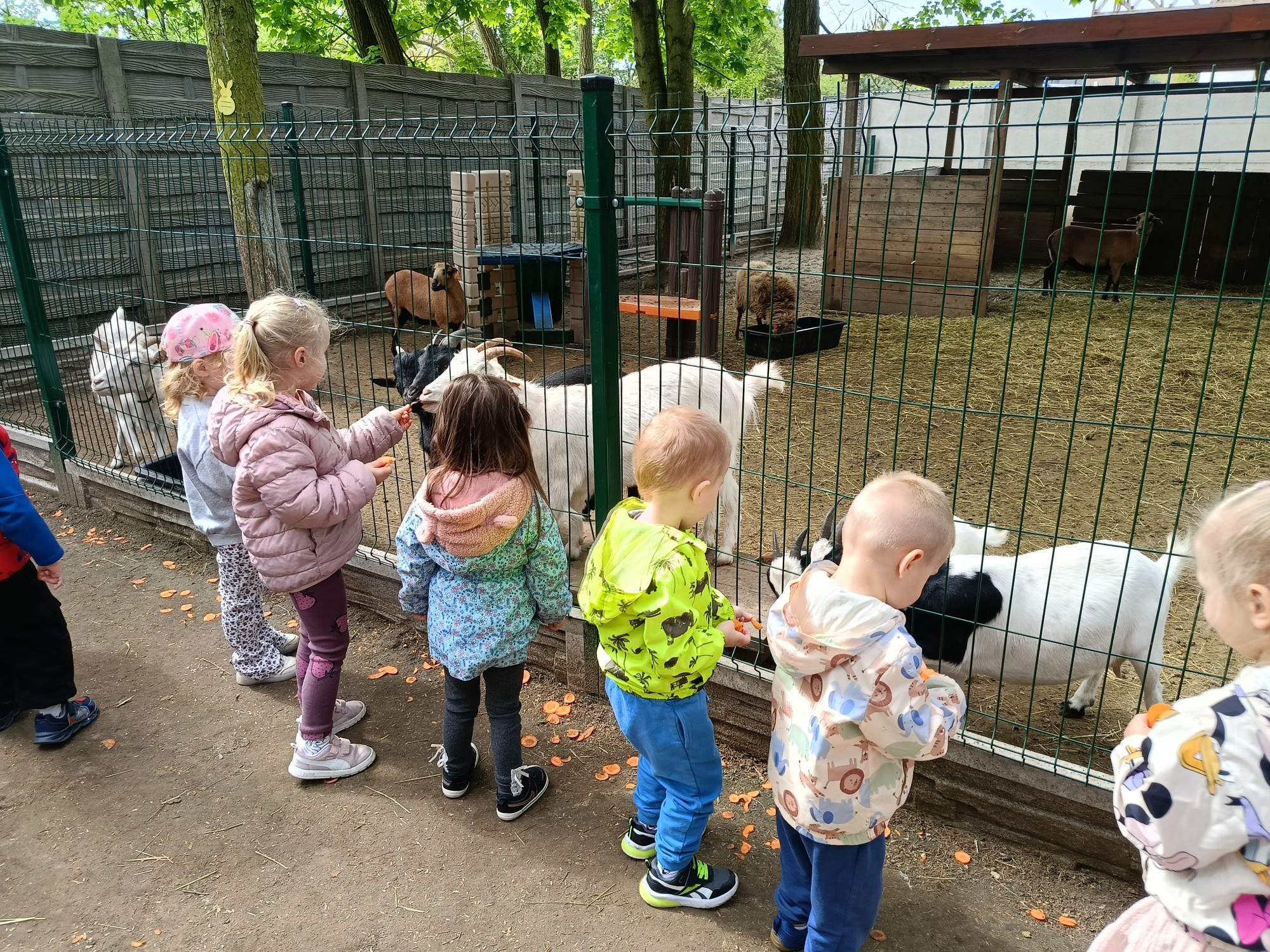 przyt